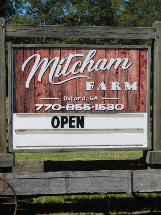 AGRITOURISM